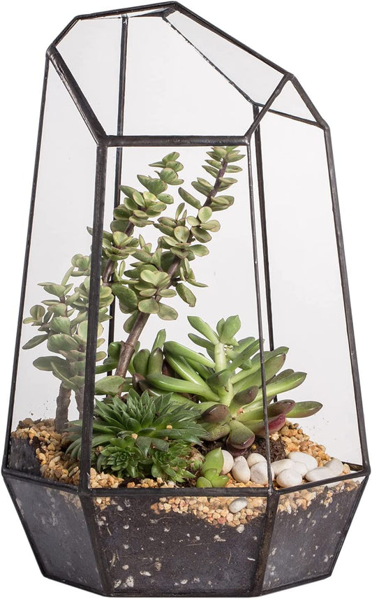 Geometric Glass Terrarium